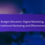 Budget Allocation: Digital Marketing, Traditional Marketing and Effectiveness
