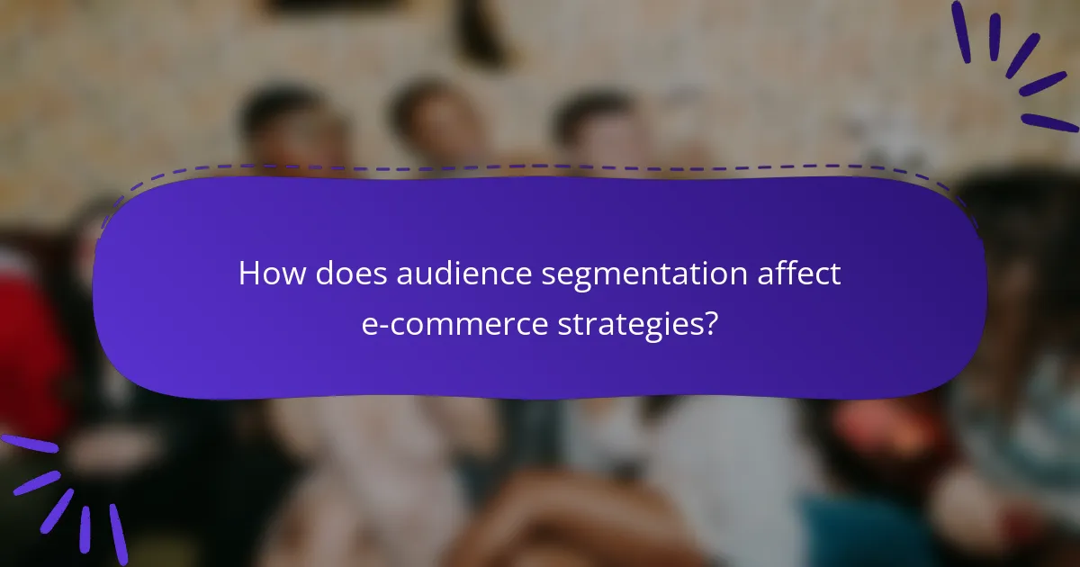 How does audience segmentation affect e-commerce strategies?