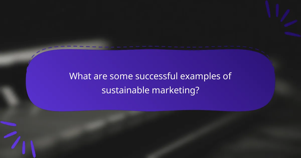 What are some successful examples of sustainable marketing?