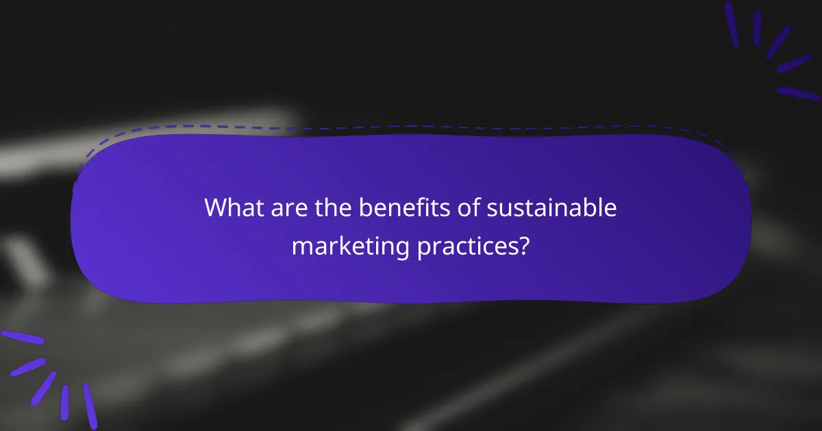 What are the benefits of sustainable marketing practices?