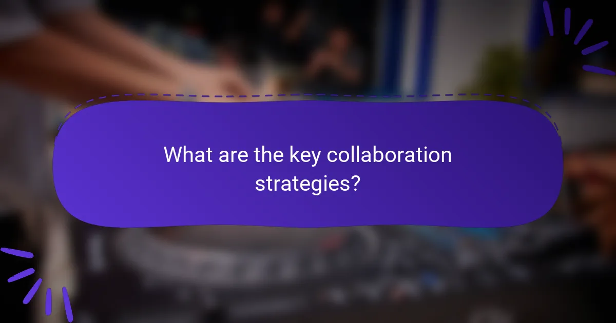 What are the key collaboration strategies?